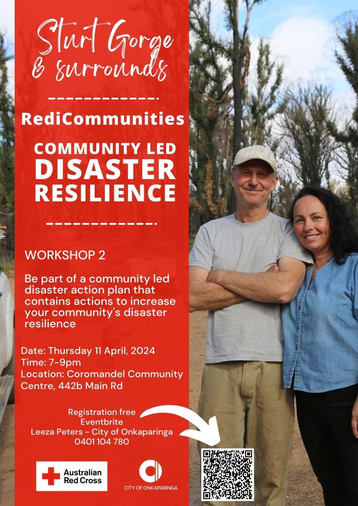 Disaster Resilience - Workshop 2