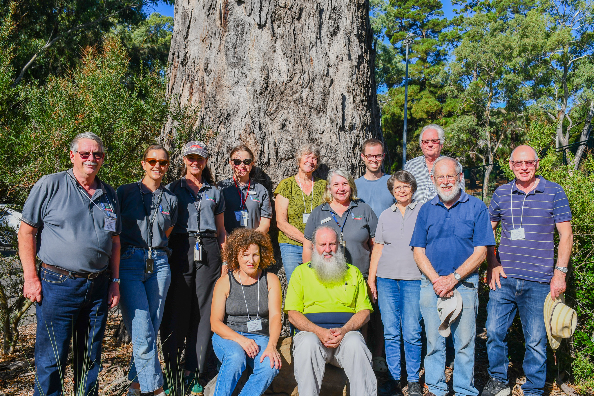 Movie in the Park 2026